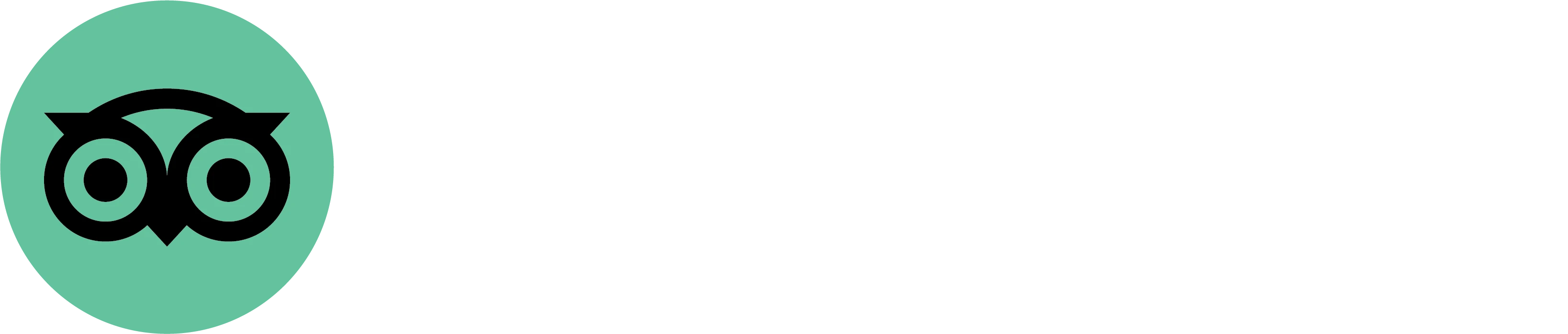 Tripadvisor Logo